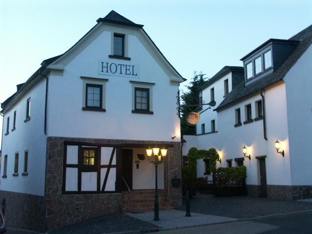 Hotel Restaurant Zur Pfanne Urbar  Экстерьер фото
